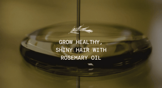 Grow Your Hair with Rosemary Oil